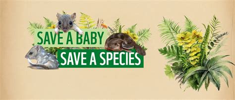 Choose a WWF Appeal to Donate to Today .